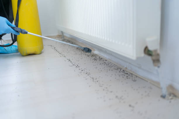 Best Commercial Pest Control Services  in Gastonville, PA